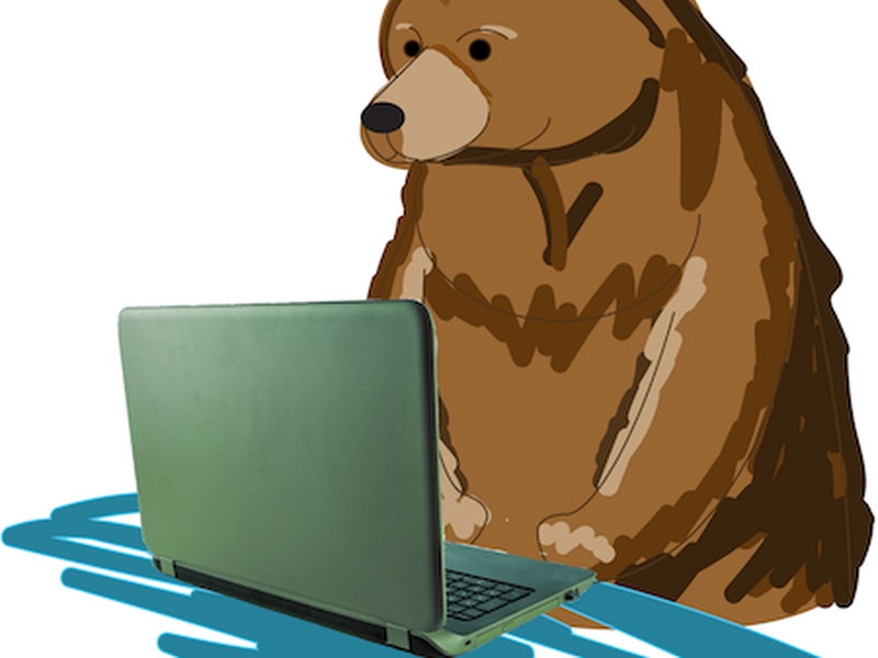 Un ours se trouve, debout, devant un ordinateur portable.